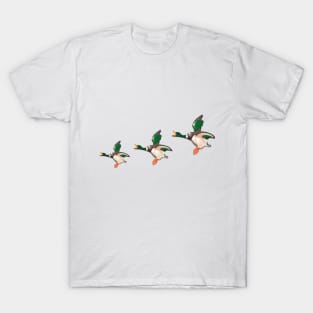 Flying Duck Ornaments T-Shirt